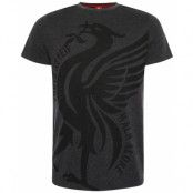 Liverpool T-shirt Liverbird Charcoal Small