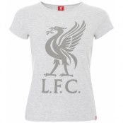 Liverpool T-shirt Liverbird Dam Ice Marl M