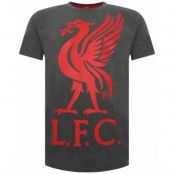 Liverpool T-shirt Liverbird Grå L