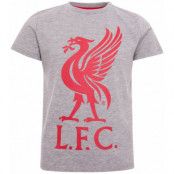 Liverpool T-shirt LIVERBIRD Junior Grå 11-12 år