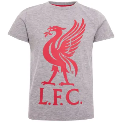 Liverpool T-shirt LIVERBIRD Junior Grå 3-4 år