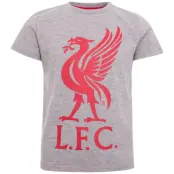 Liverpool T-shirt LIVERBIRD Junior Grå 7-8 år