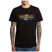 Liverpool T-shirt Liverbird Pride M
