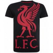 Liverpool T-shirt Liverbird Svart M