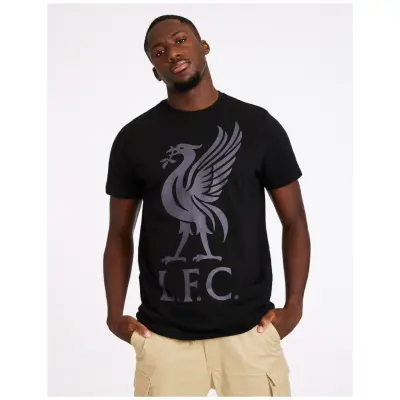 Liverpool T-shirt Liverbird Svartgrå M