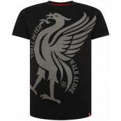 Liverpool T-shirt Liverbird Ynwa Tee Black L