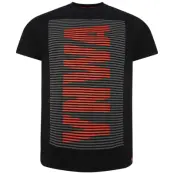 Liverpool T-shirt Raised Svart M
