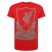 Liverpool T-shirt Sign M