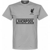 Liverpool T-shirt Team Grå S