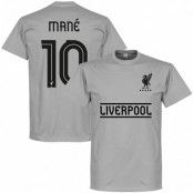 Liverpool T-shirt Team Mane 10 Grå S
