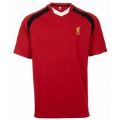 Liverpool T-shirt V-ringad Röd L