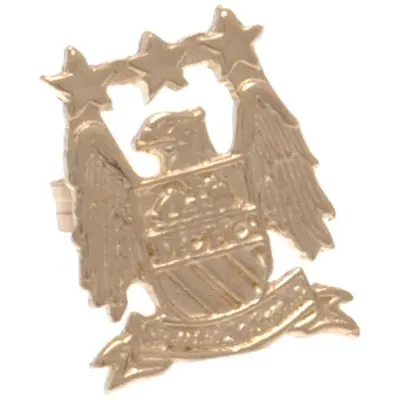 Manchester City Örhänge Guld EC