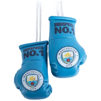 Manchester City Boxningshandskar Mini