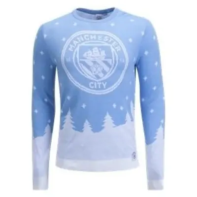 Manchester City Tröja Jul XL
