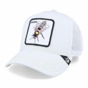 Goorin Bros. - Vit trucker Keps - Queen Bee White/White Trucker @ Hatstore