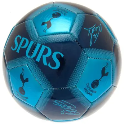 Tottenham Hotspur Fotboll Signature 2
