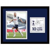 Tottenham Hotspur Bild Kane 30 x 40