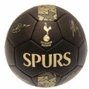 Tottenham Hotspur Träningsboll Signature Gold